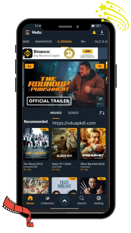 multi-language-subtitles-support